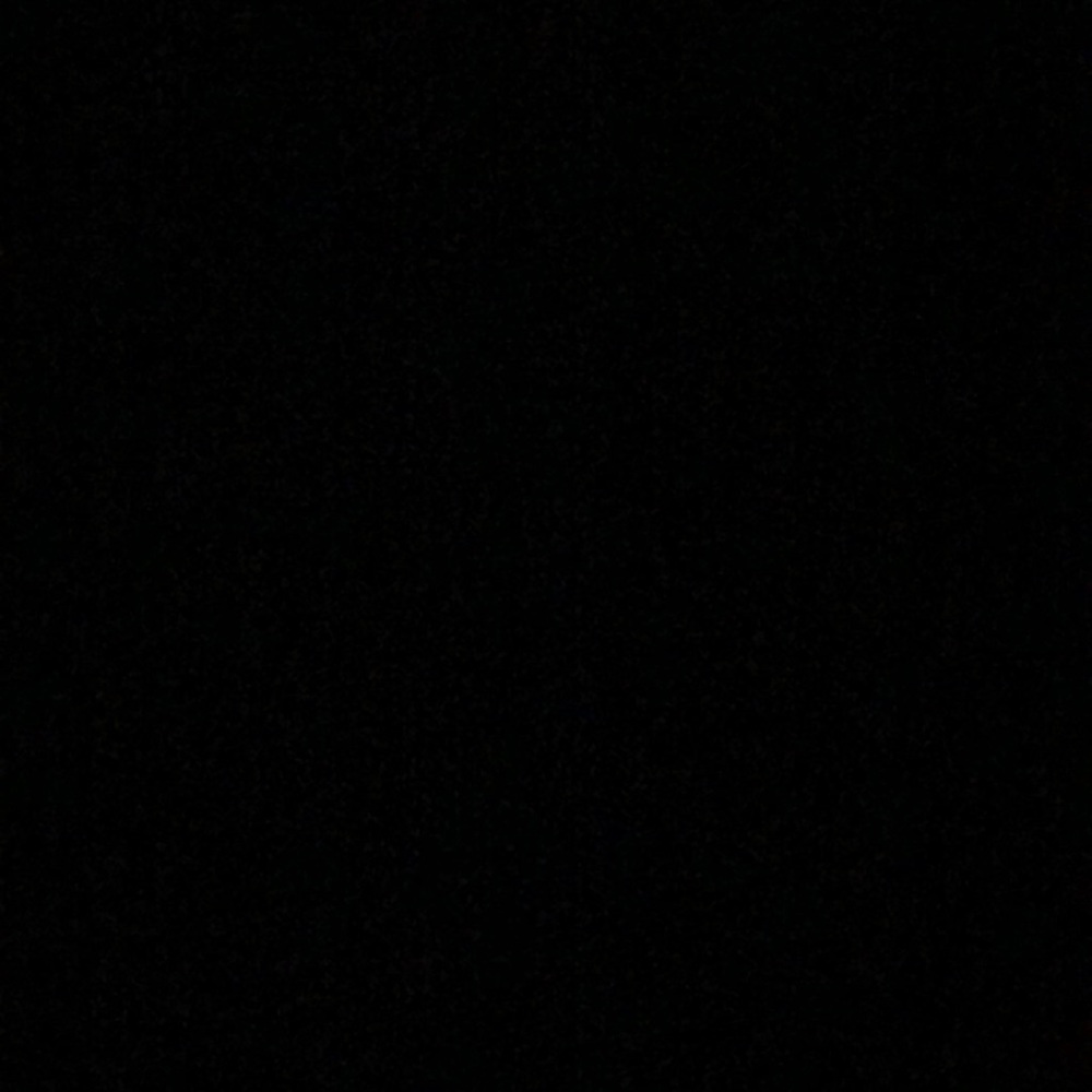 Meet your Posher, Giselle